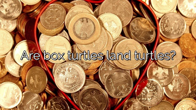 Are box turtles land turtles?