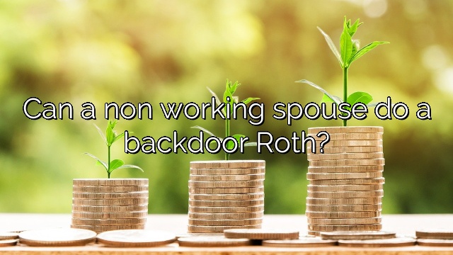 Can a non working spouse do a backdoor Roth?