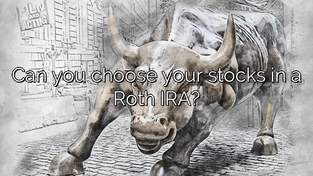 Can you choose your stocks in a Roth IRA?