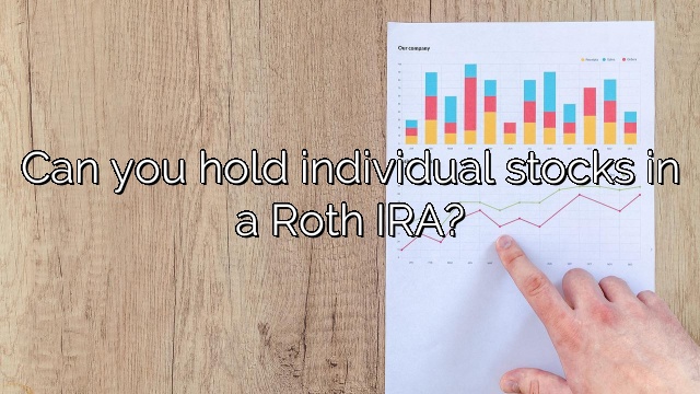 Can you hold individual stocks in a Roth IRA?