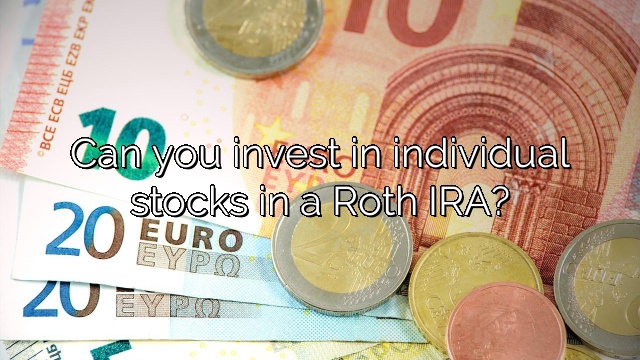 Can you invest in individual stocks in a Roth IRA?