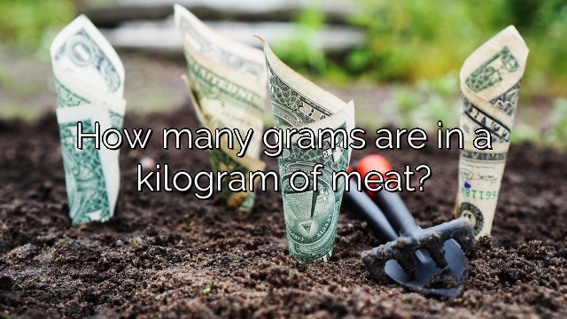 How many grams are in a kilogram of meat?