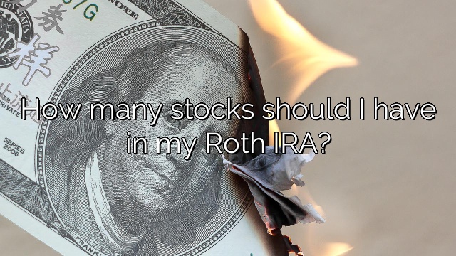 How many stocks should I have in my Roth IRA?