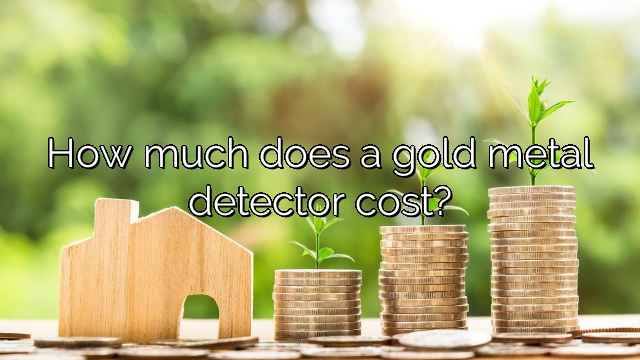 How much does a gold metal detector cost?
