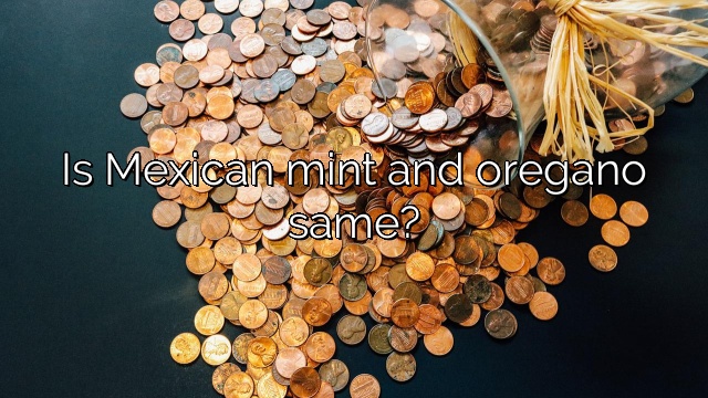 Is Mexican mint and oregano same?
