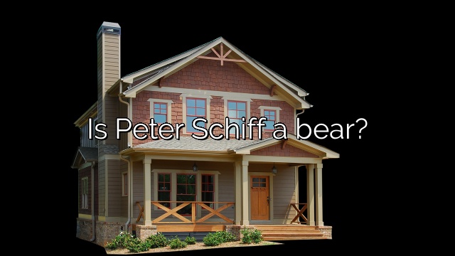 Is Peter Schiff a bear?