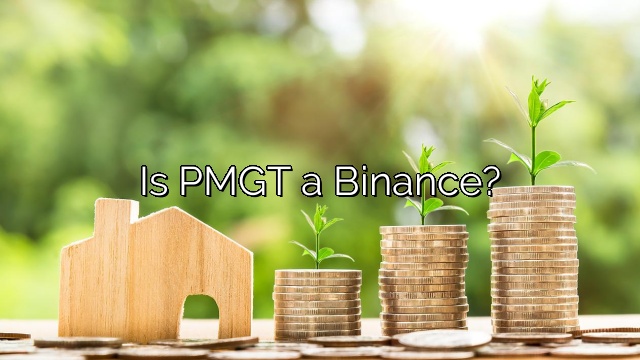 Is PMGT a Binance?