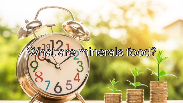 What are minerals food?