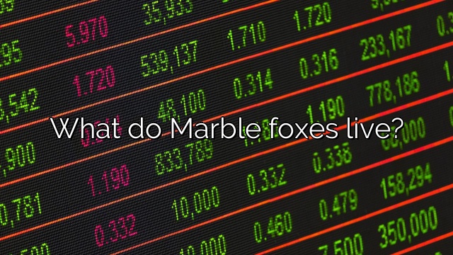 What do Marble foxes live?