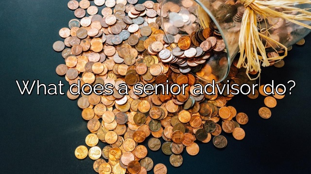 What does a senior advisor do?