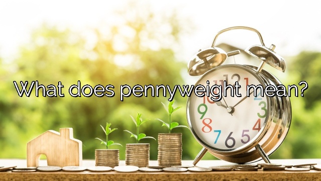 What does pennyweight mean?
