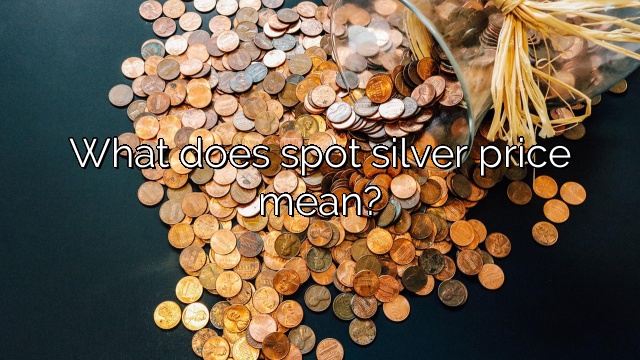 What does spot silver price mean?