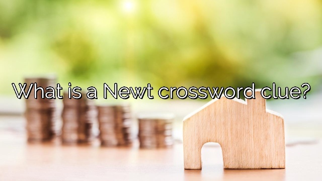 What is a Newt crossword clue?