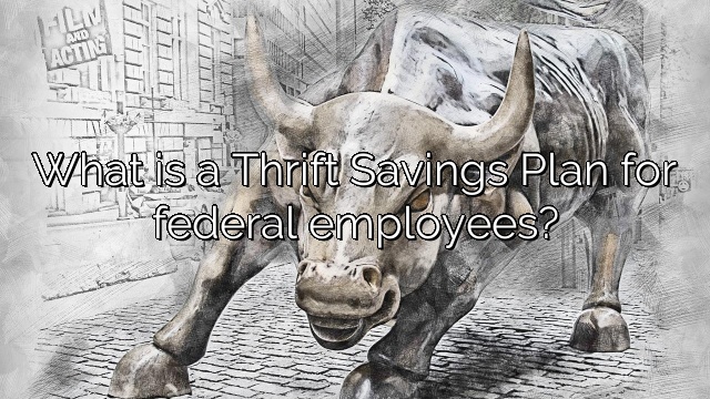 What is a Thrift Savings Plan for federal employees?