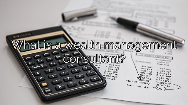 What is a wealth management consultant?
