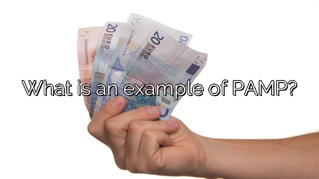What is an example of PAMP?