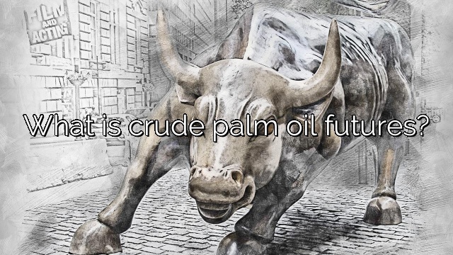 What is crude palm oil futures?