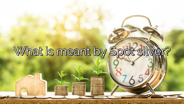 What is meant by Spot silver?