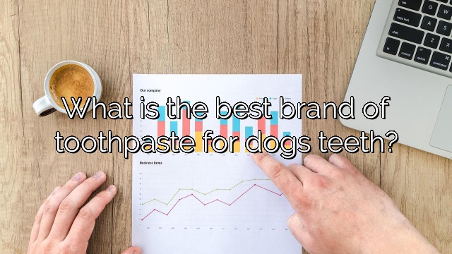 What is the best brand of toothpaste for dogs teeth?