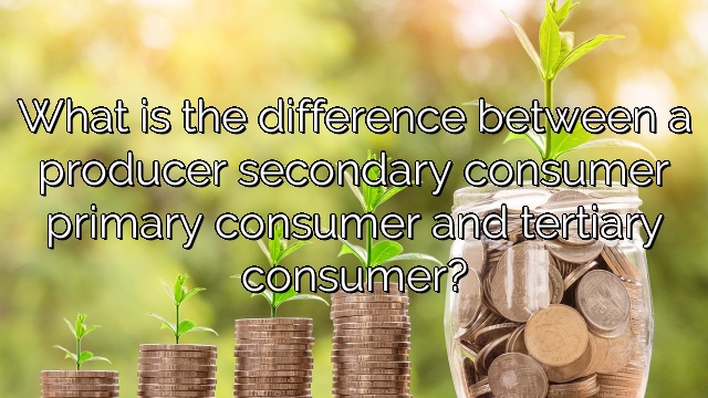 What is the difference between a producer secondary consumer primary consumer and tertiary consumer?