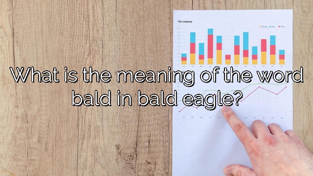 What is the meaning of the word bald in bald eagle?