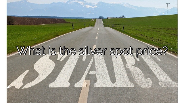 What is the silver spot price?
