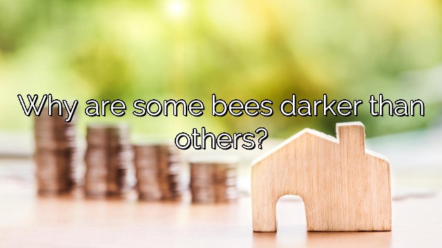 Why are some bees darker than others?